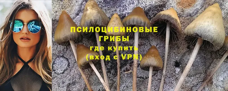 где купить наркоту  Уфа  Псилоцибиновые грибы Psilocybine cubensis 